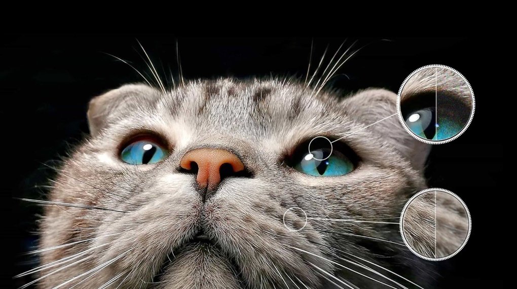 google tivi qd-mini led tcl 4k 85 inch 85c755