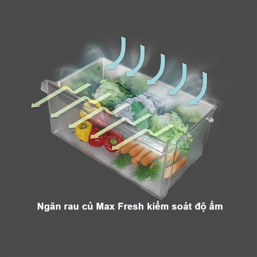 tủ lạnh hitachi inverter 396 lít r-b415egv1