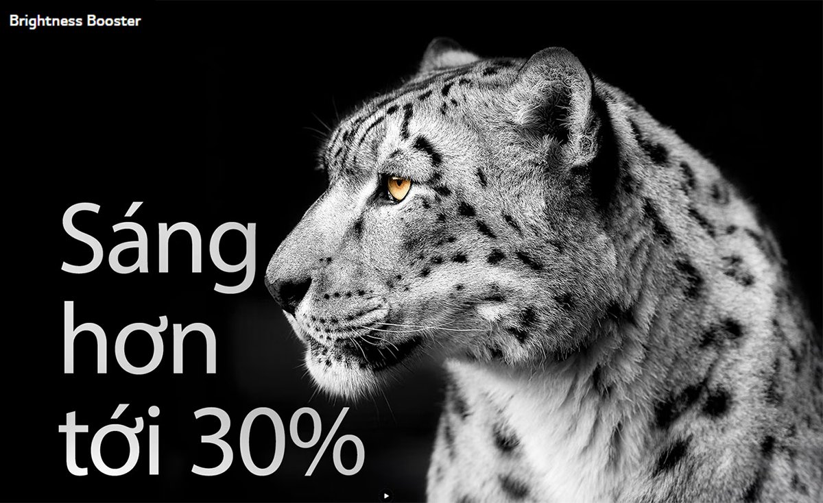 smart tivi lg oled evo 4k 65 inch oled65c4psa