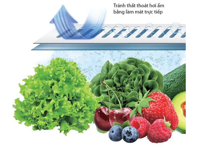 tủ lạnh toshiba inverter 533 lít japandi multi door gr-rf690wi-pgv(67)