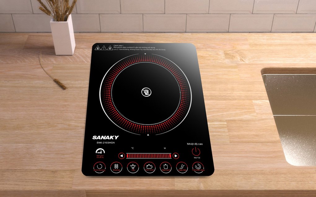 bếp hồng ngoại sanaky snk-2103hgn