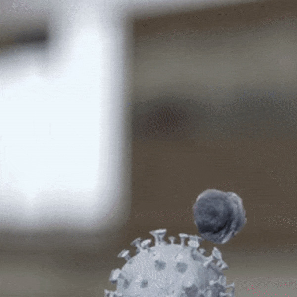 máy giặt toshiba inverter 10.5 kg tw-t23bu115uwv(mg)