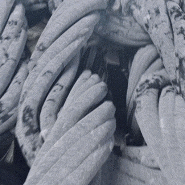 máy giặt sấy toshiba inverter giặt 13 kg - sấy 8 kg twd-t21bu140uwv(mg)