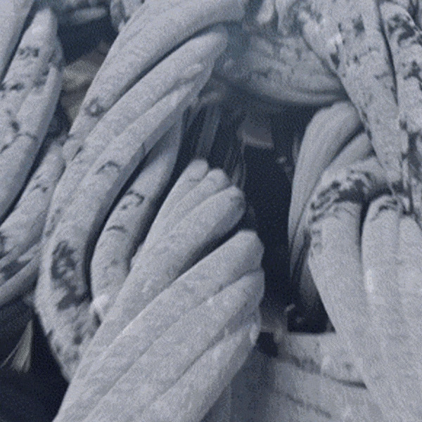 máy giặt toshiba inverter 10.5 kg tw-t23bu115uwv(mg)