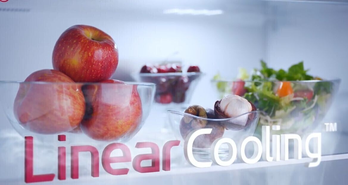 tủ lạnh lg 217 lít ltb21svmd