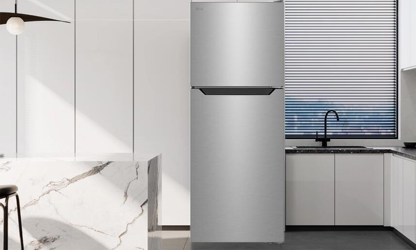 tủ lạnh lg inverter 325 lít t33sv