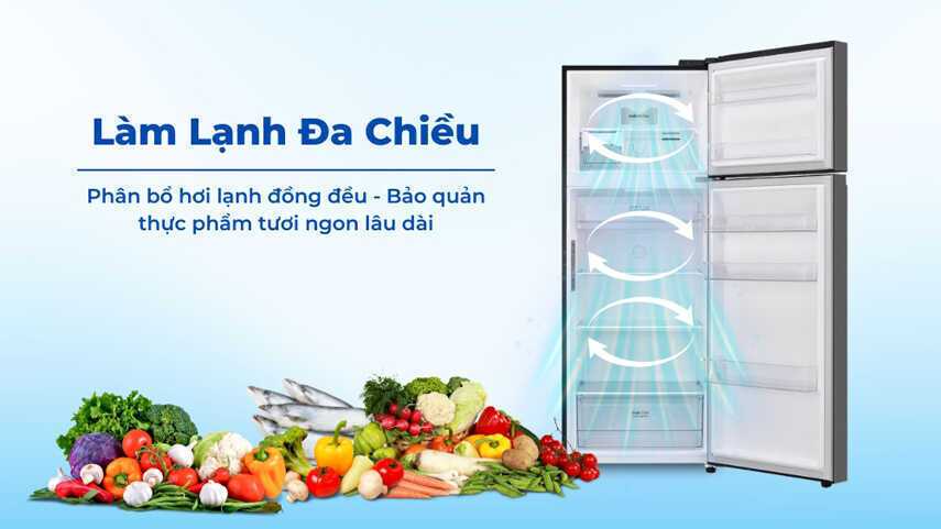 tủ lạnh lg inverter 325 lít t33sv