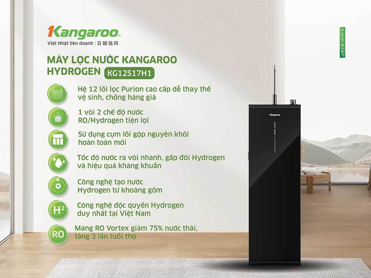 hệ 12 lõi purion của kangaroo kg12s17h1