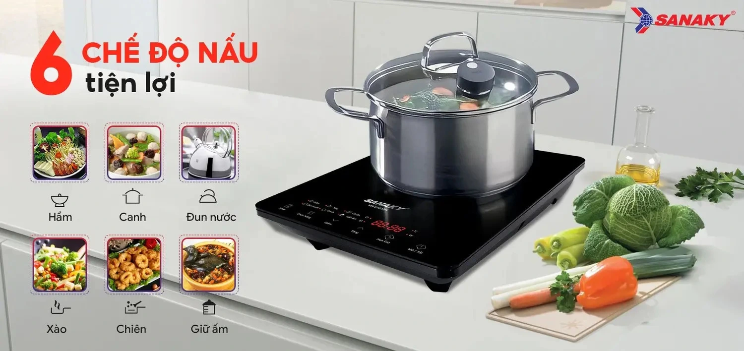 bếp từ đơn sanaky vh-6101hy