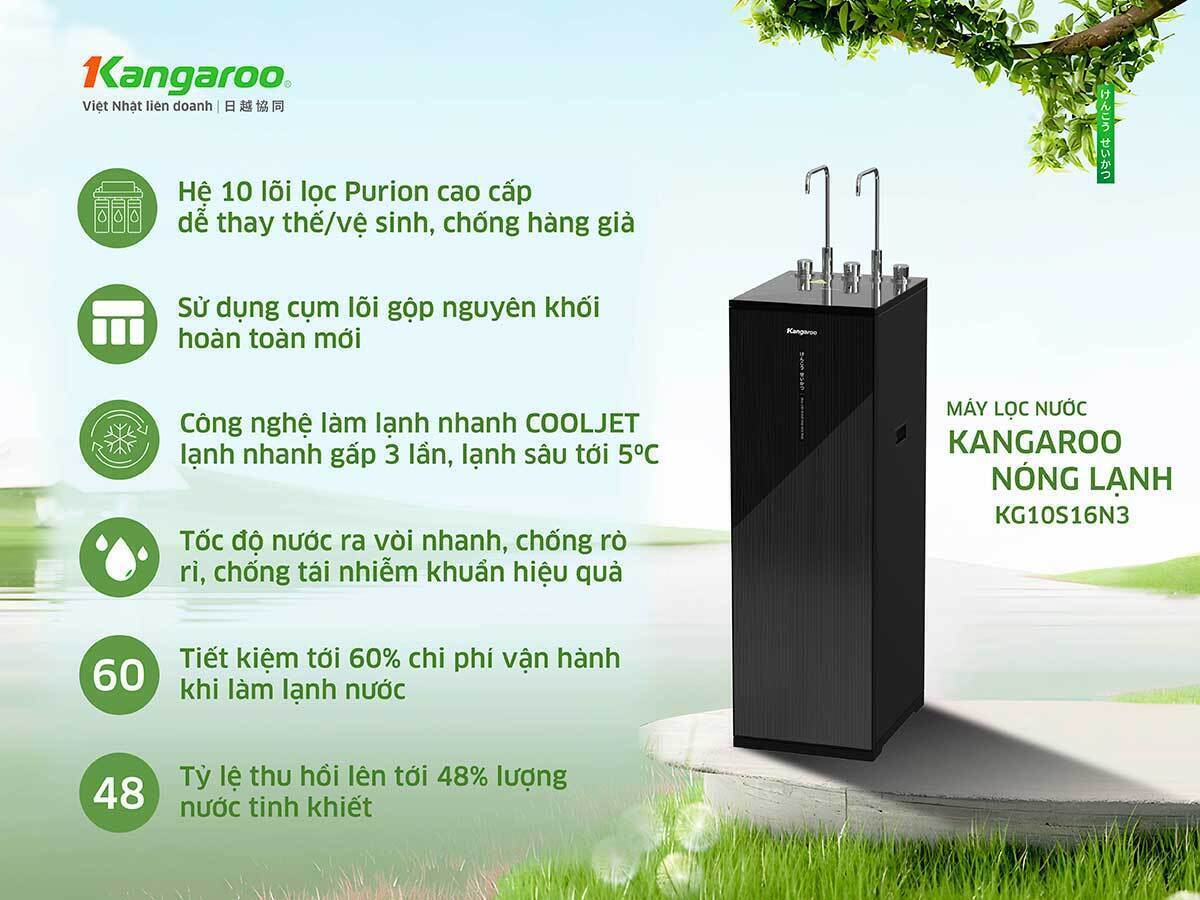 hệ lõi purion của kangaroo kg10s16n3
