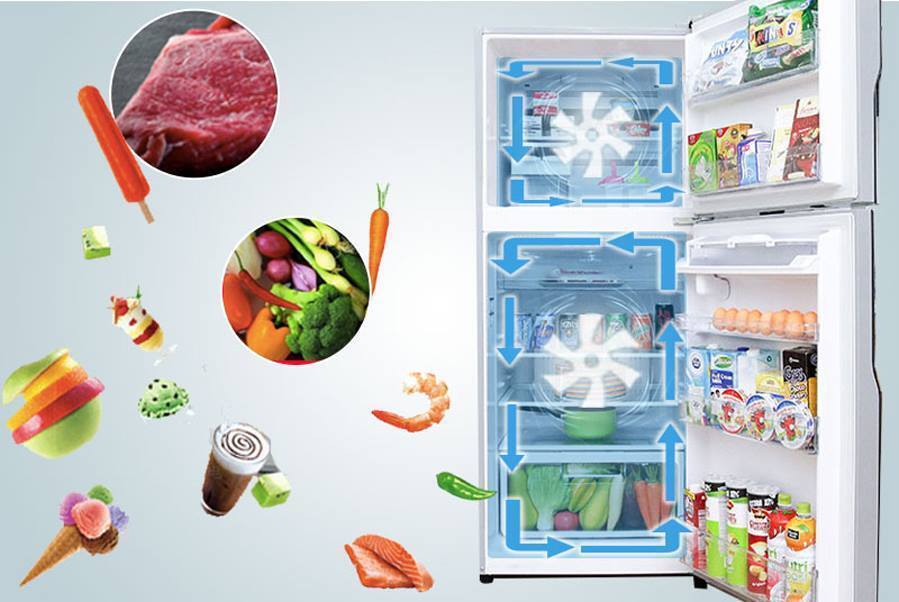 tủ lạnh hitachi r-fg480pgv8 (gbk) 366 lít inverter