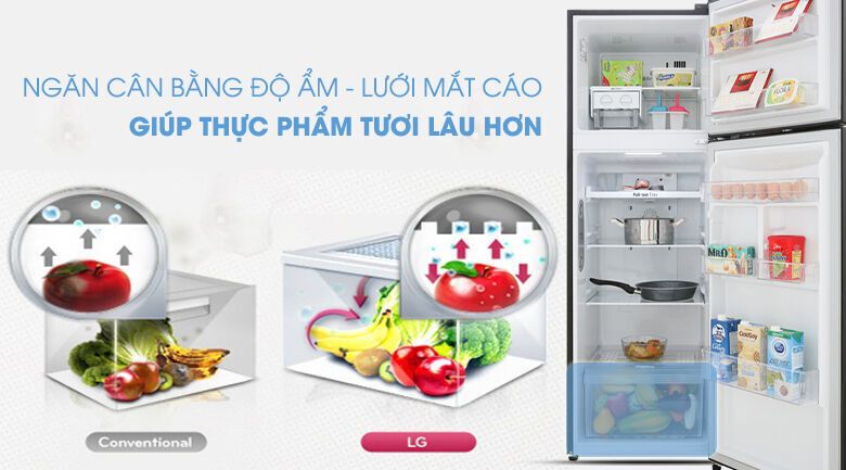tủ lạnh lg inverter 255 lít gn-m255bl