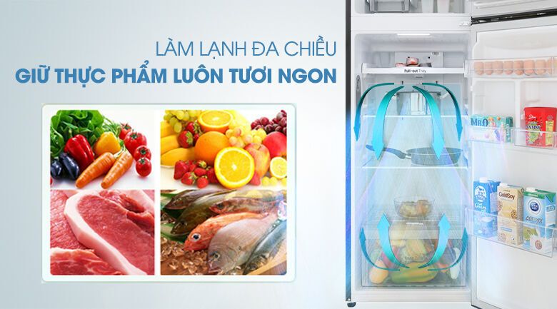 tủ lạnh lg inverter 255 lít gn-m255bl