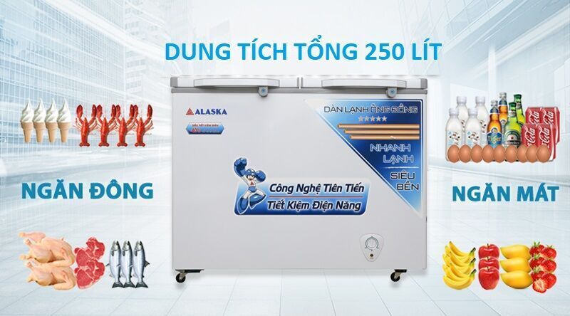 tủ đông alaska 250 lít bcd-3068c
