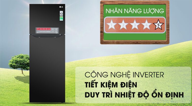 tủ lạnh lg inverter 315 lít gn-m315bl