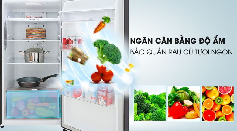 tủ lạnh lg inverter 315 lít gn-d315bl