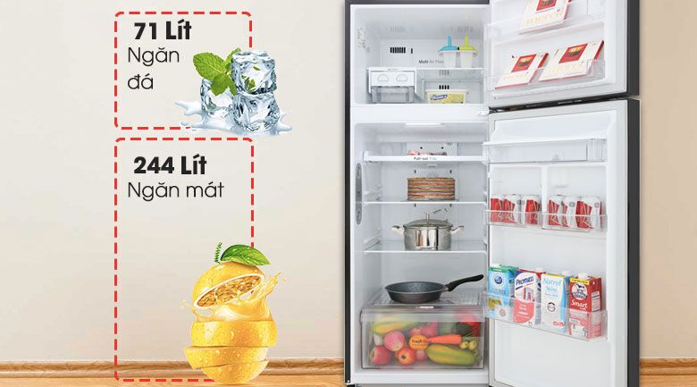 tủ lạnh lg inverter 315 lít gn-d315bl