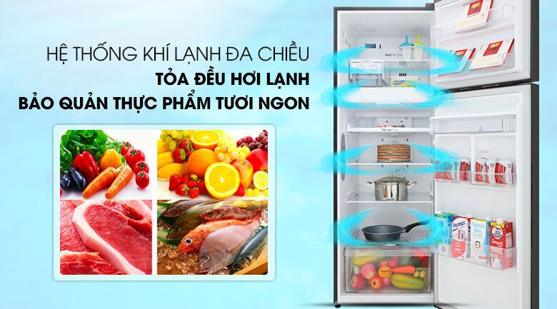 tủ lạnh lg inverter 315 lít gn-d315bl