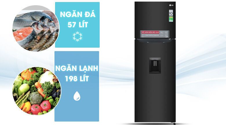 tủ lạnh lg inverter 255 lít gn-d255bl