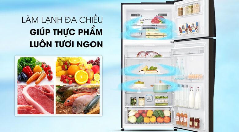 tủ lạnh lg inverter 478 lít gn-d602bl