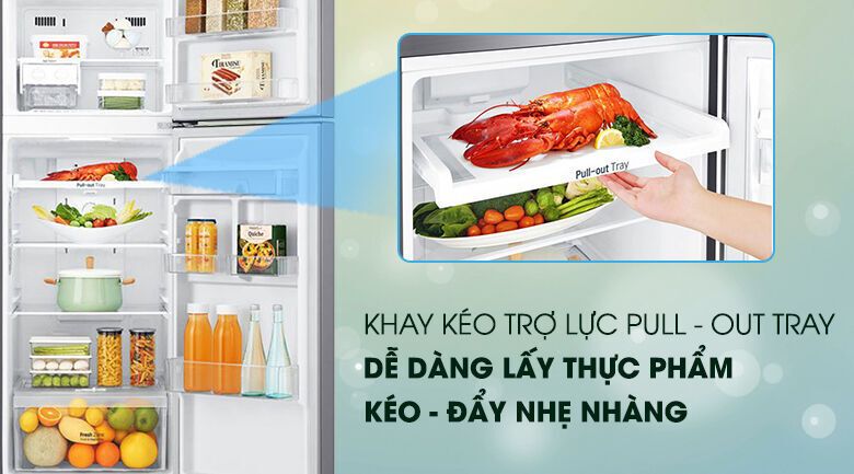 tủ lạnh lg inverter 255 lít gn-d255ps