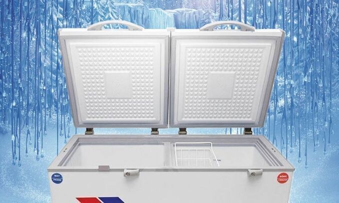 tủ đông sanaky vh 365w2 (260 lít-2 ngăn)