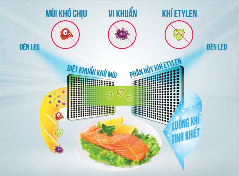 tủ lạnh toshiba 468 lít gr-hg52vdz xk