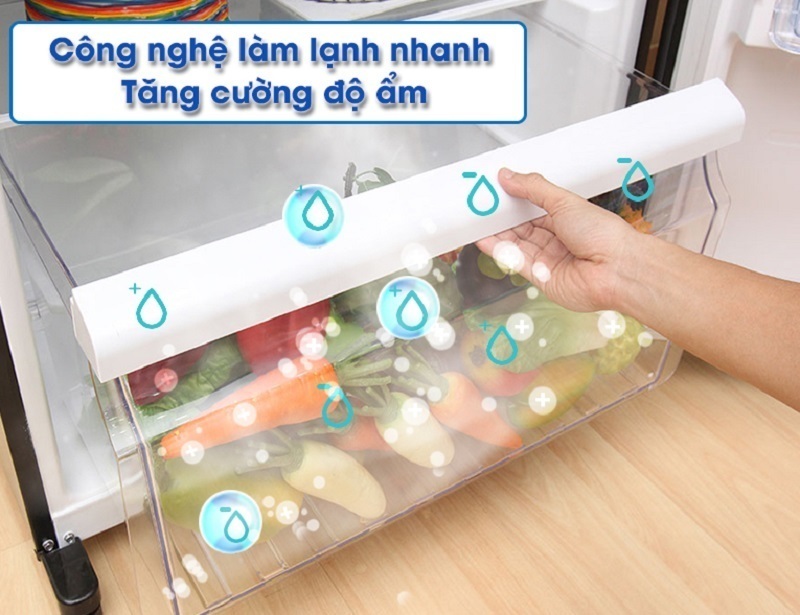 tủ lạnh toshiba 505 lít gr-hg55vdz gg