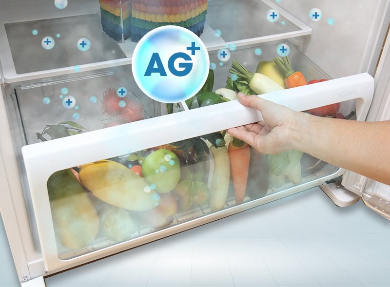 tủ lạnh toshiba 600 lít gr-wg66vdaz