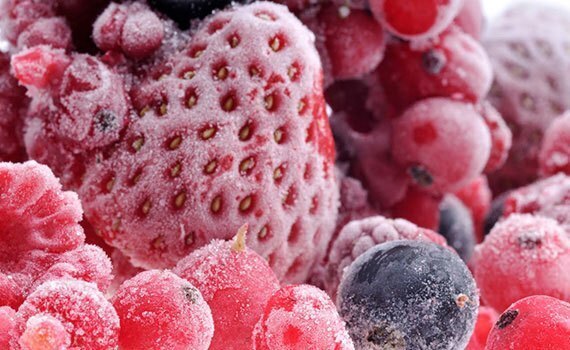 tủ đông sanaky 1 ngăn vh-3699a1