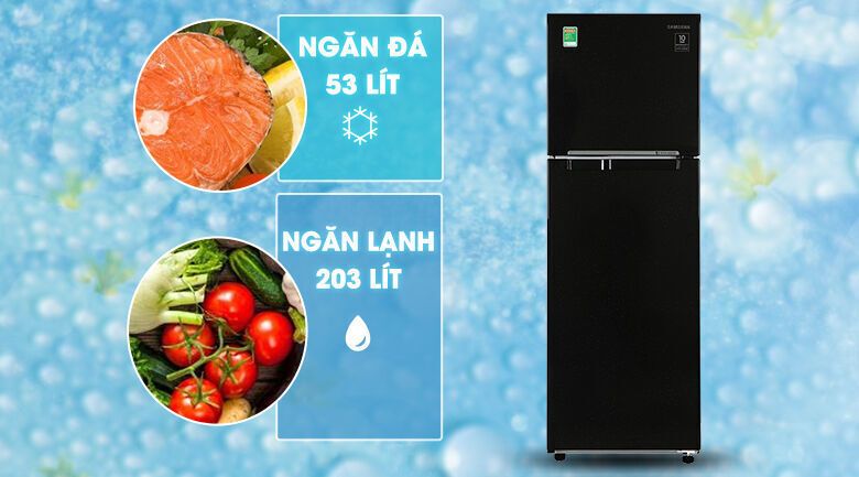 tủ lạnh samsung inverter 256 lít rt25m4032bu/sv