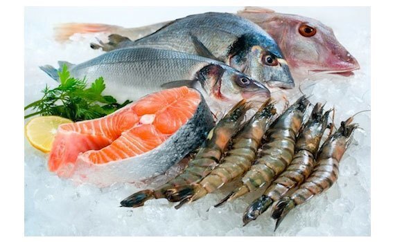 tủ đông sanaky 1 ngăn vh-3699a1