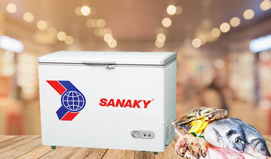 tủ đông sanaky vh-2299hy2 220 lít 1 ngăn đông