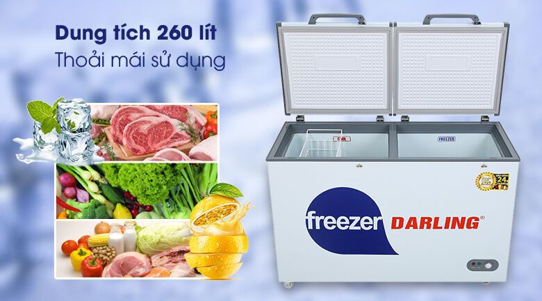 tủ đông darling 260 lít dmf-3999 w2