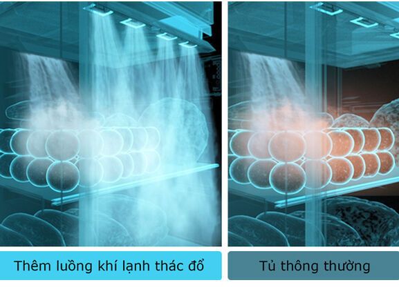 tủ lạnh toshiba inverter 312 lít gr-rt400we-pmv(06)-mg