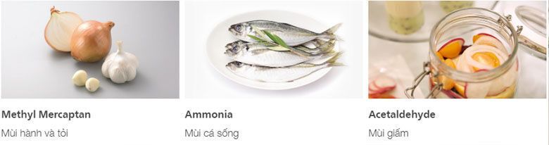 tủ lạnh hitachi inverter 366 lít r-fvx480pgv9 (mir)