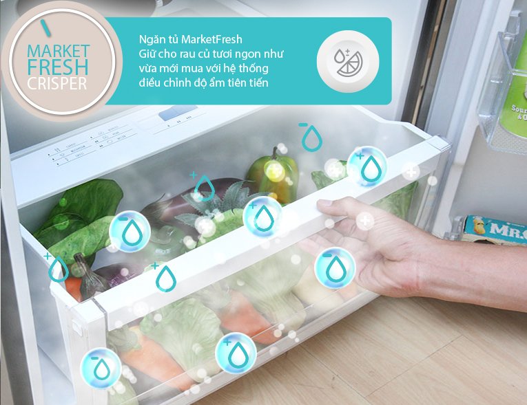 tủ lạnh electrolux 349 lít ete3500ag