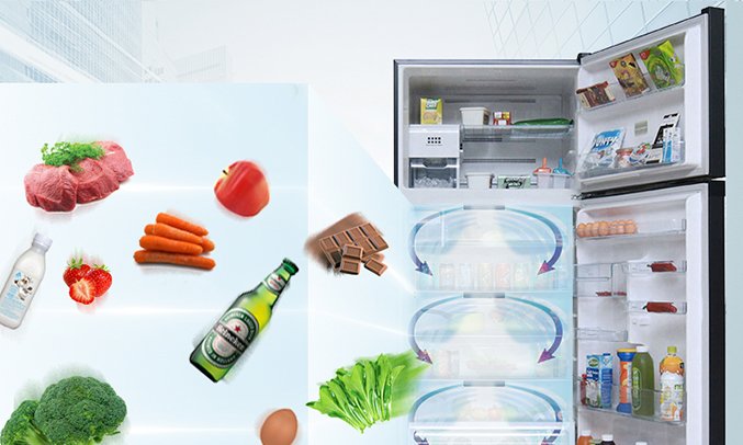 tủ lạnh toshiba 600 lít gr-wg66vdaz (gg)