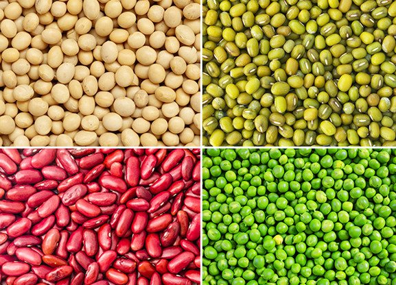 máy say sinh tố sharp 1.25lít em-ice2v