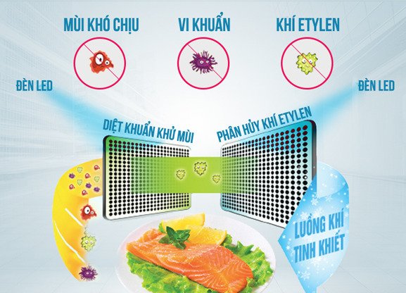 tủ lạnh toshiba inverter 600 lít gr-wg66vdaz(zw)