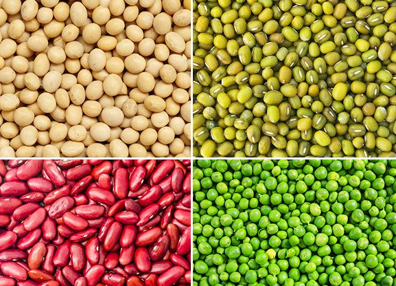 máy say sinh tố sharp 1.25lít em-save1v