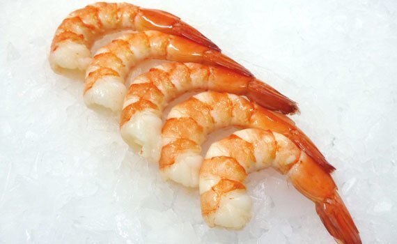 tủ đông sanaky 2 ngăn vh-225w2