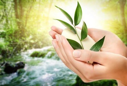 tủ đông sanaky vh-568w2 560 lít 2 ngăn đông mát