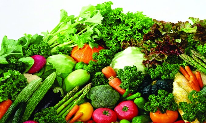 tủ mát alaska 250 lít lc-333h