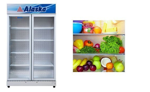 tủ mát alaska 1200 lít sl-12c