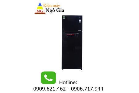 Tủ lạnh LG Inverter 255 lít GN-L255PN