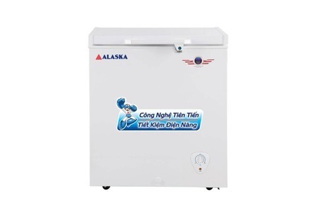 Tủ đông Alaska 300Lít BD-300