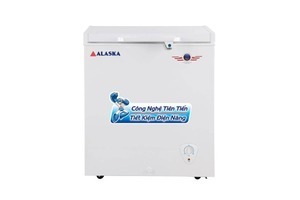 Tủ đông Alaska 300Lít BD-300
