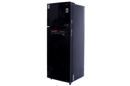 Tủ lạnh LG Inverter 255 lít GN-L255PN