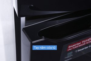 Tủ lạnh LG Inverter 255 lít GN-L255PN